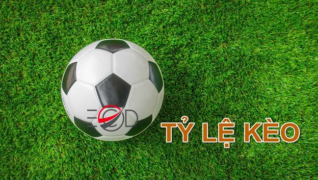 Tỷ lệ cược ibet88 1 ty le keo